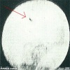 1 3